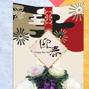 岐阜県 和モダンパッケージデザインのサムネール